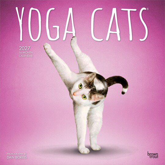 BrownTrout; Yoga Cats OFFICIAL | 2027 12 x 24 Inch (Hanging) Monthly Square Wall Calendar | Plastic-Free; Category:Wall Calendars; Image:1